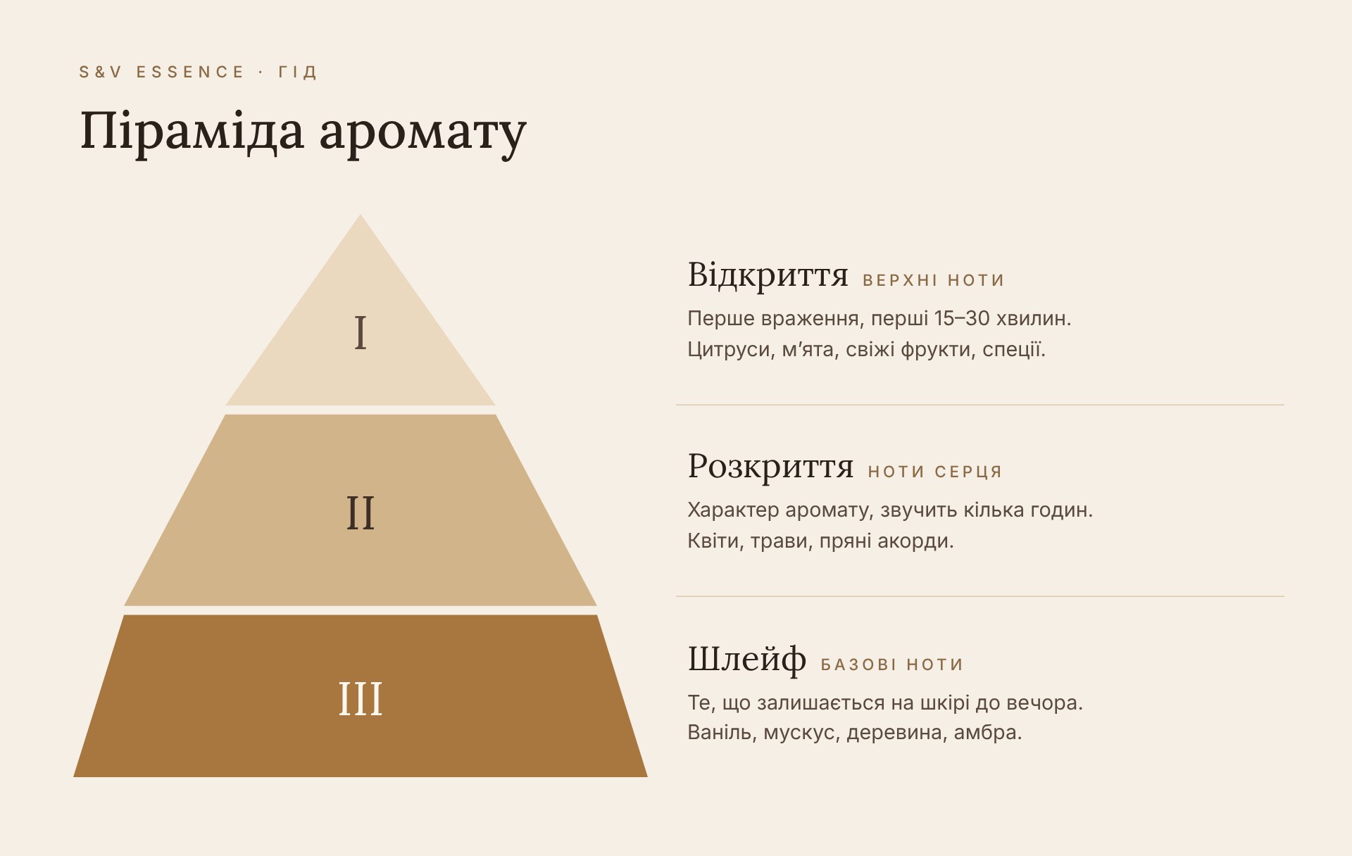 Піраміда аромату: відкриття, розкриття та шлейф — схема S&V Essence