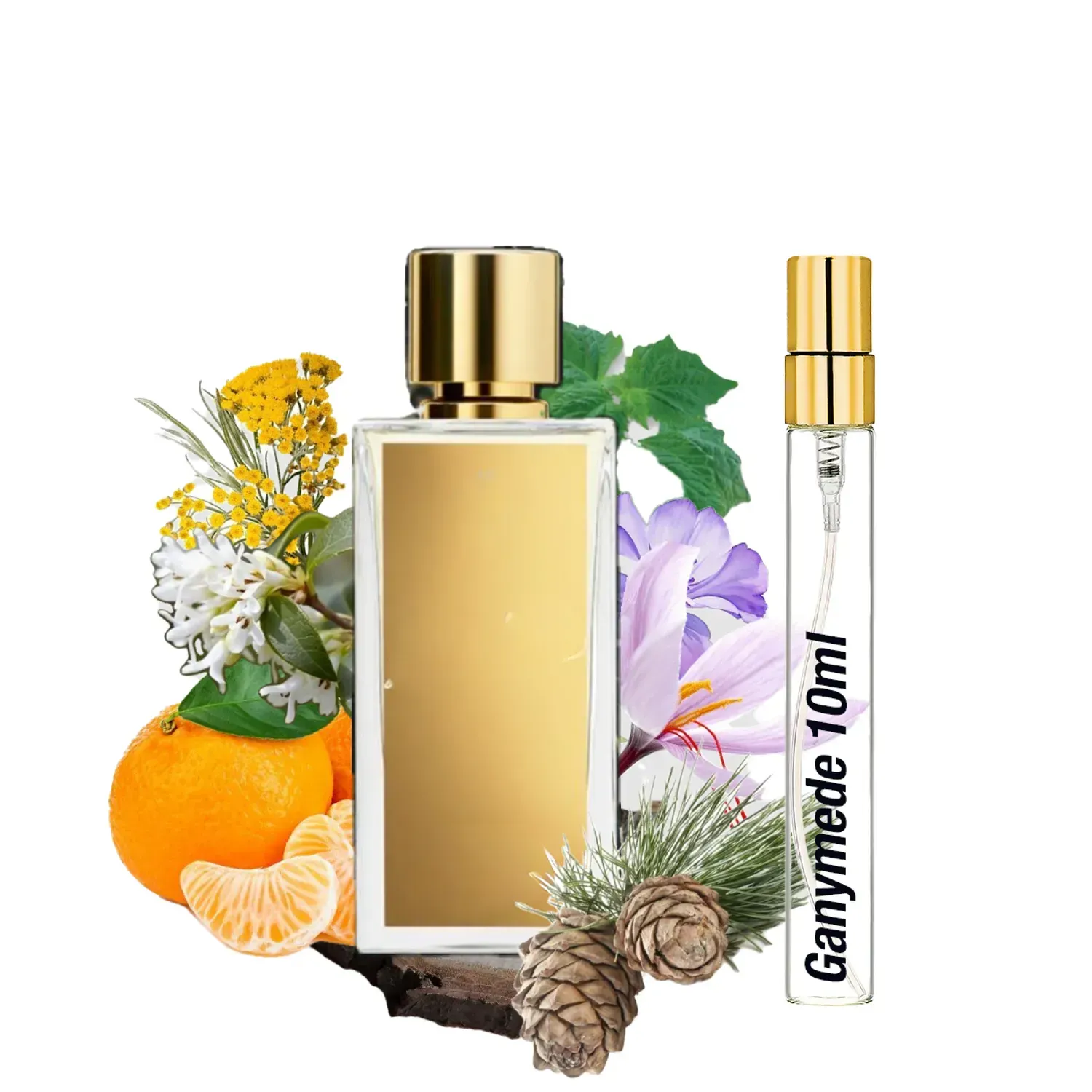 Travel Парфум S&V Ganymede Eau de parfum 10мл